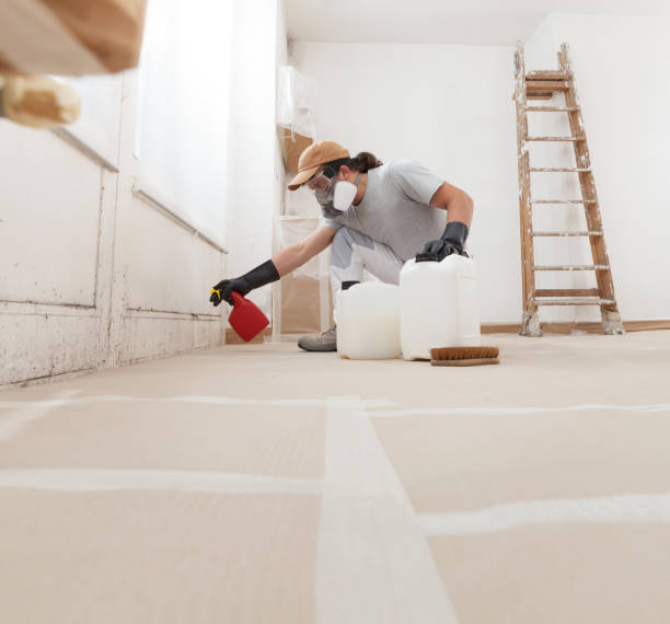 Mold Remediation for Rental Properties in Monticello, IA