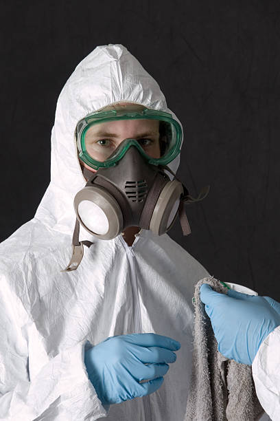 Best Mold Damage Restoration  in Monticello, IA